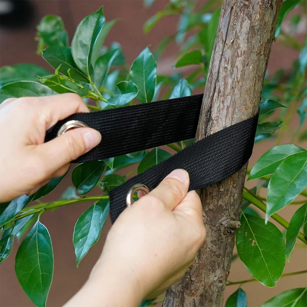 Tree Staking Support System Nylon Straps 40 Cm Staking Straps Weather Resistant Straps Effective In Hurricanes