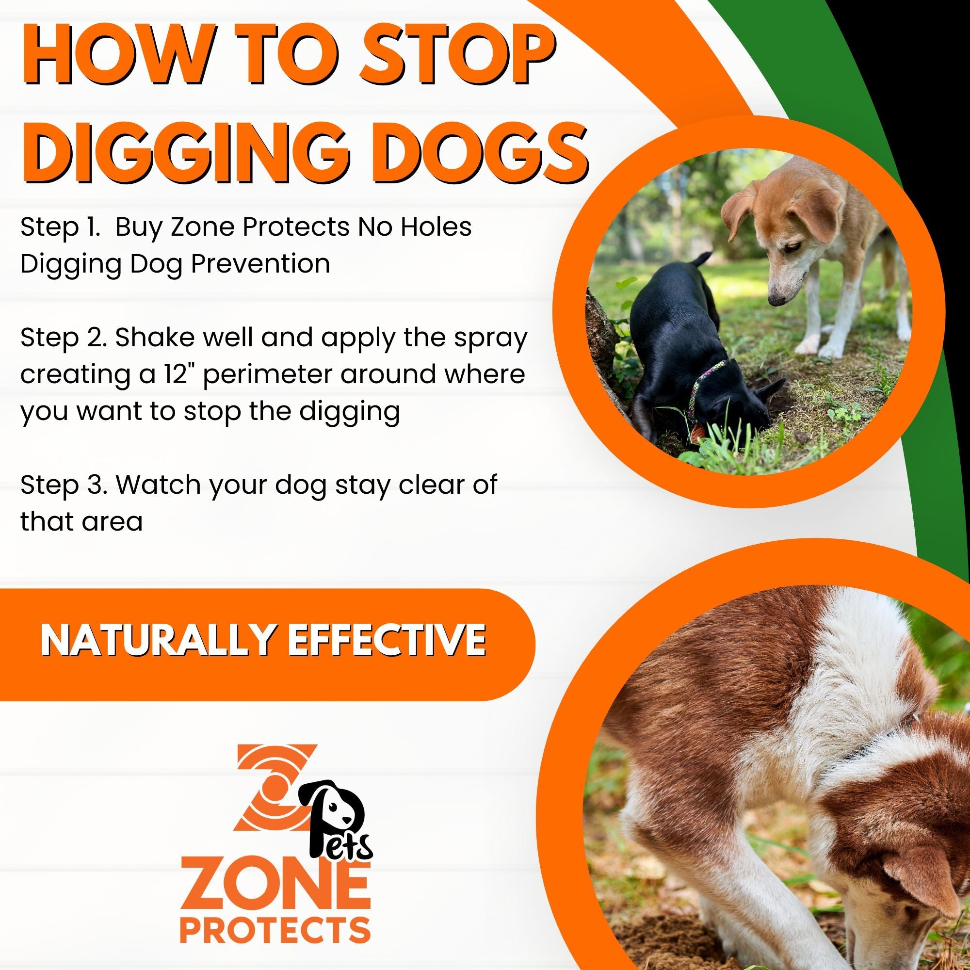 No Holes! Digging Prevention Concentrate/Gallon Trigger Sprayer